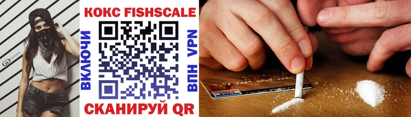 COCAIN FishScale  Купить  Бакал 