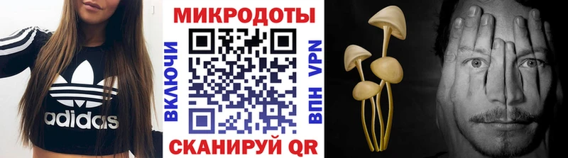 Галлюциногенные грибы мухоморы  Купить где  Бакал 